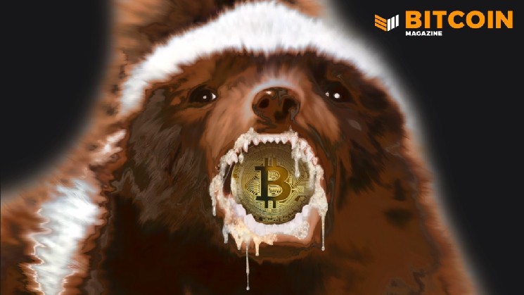 Why Bitcoin Is Considered The Honey Badger Of Money