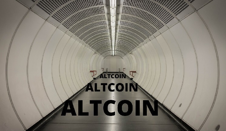 Top altcoins performers of this week has something in common