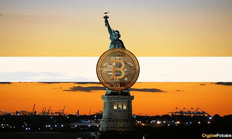 90% of Americans Have at Least Basic Cryptocurrency Knowledge: Survey