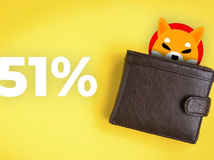 Here's Who Is Actually Holding 51% of SHIB Supply