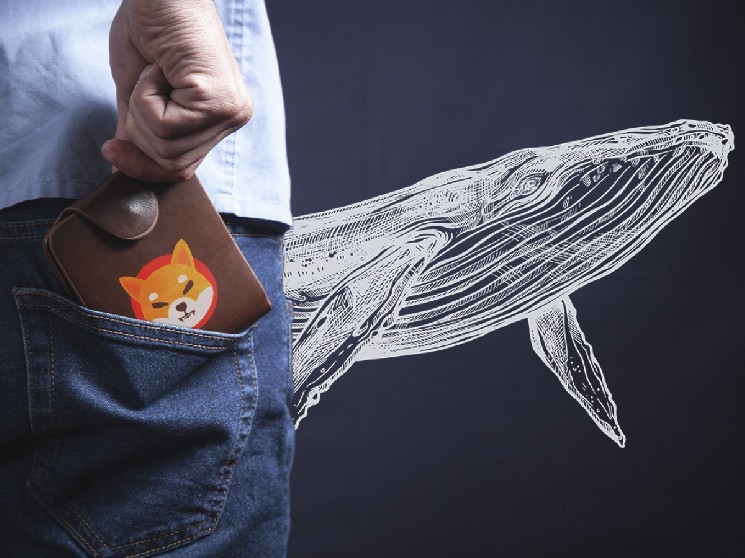 Whale Wallets Holding Billions of SHIB Now Watched by Crypto Sleuths