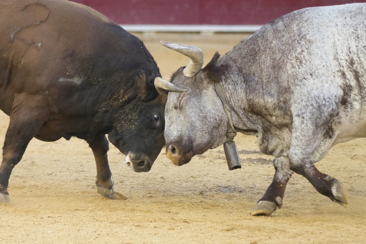 Ether to Extend Outperformance Versus Bitcoin Following Recent Breakout, FSInsight Says