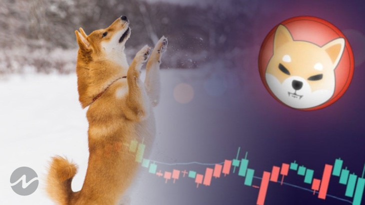 Shiba Inu (SHIB) All Set for a Free Fall? Or Will It Sustain? Shiba Inu (SHIB) All Set for a Free Fall? Or Will It Sustain?